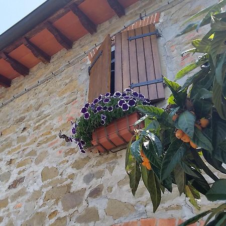 Villa Toscana Loro Ciuffenna Eksteriør billede