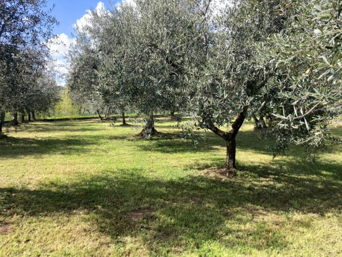 Villa Toscana Loro Ciuffenna Eksteriør billede